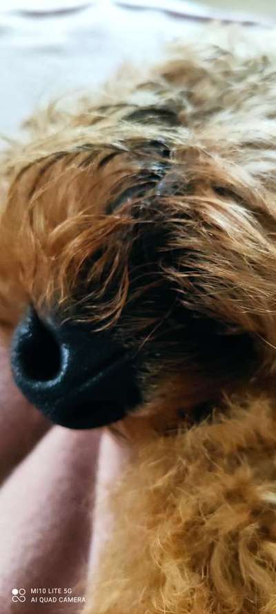 Blick fürs Detail!-Beitrag-Bild