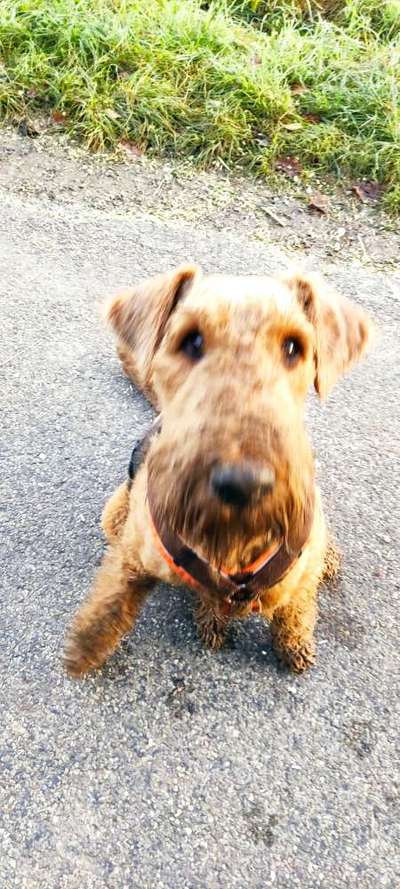 Un...scharf Bilder-Beitrag-Bild