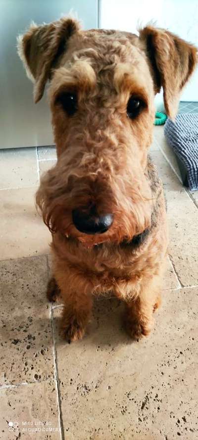 Bettel Blicke-Beitrag-Bild