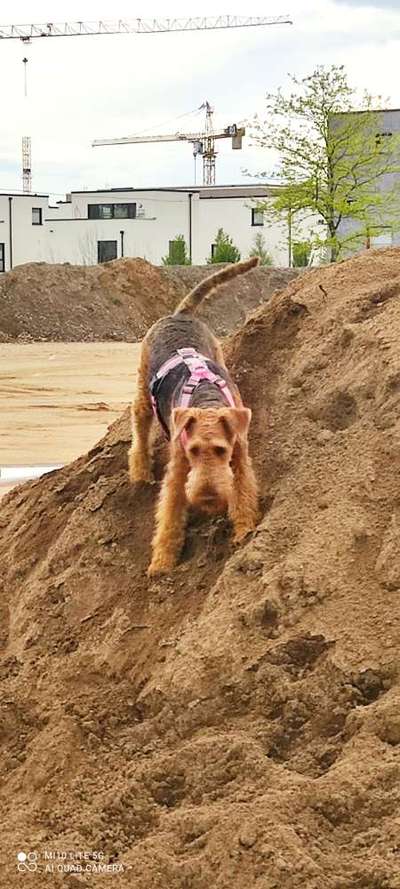 Fotochallenge Nr 107-Beitrag-Bild