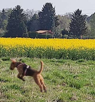 Fotowettbewerb zum Thema "Sonne"-Beitrag-Bild