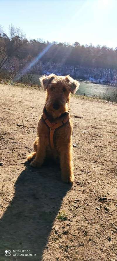 SonnenSTRAHLEN-Beitrag-Bild