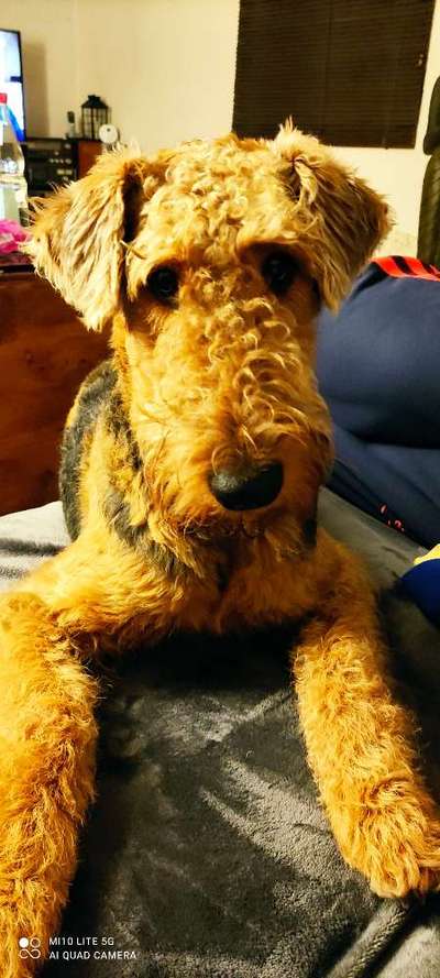 Fotochallange Nr. 57     PORTRÄT.   Beendet!!!!!!!!-Beitrag-Bild