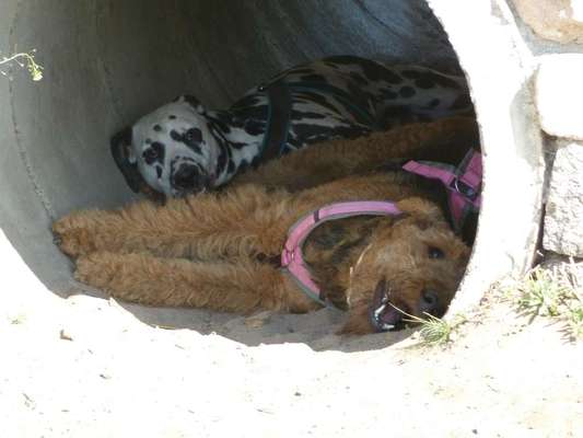 Challenge 30  Freundschaft-Beitrag-Bild