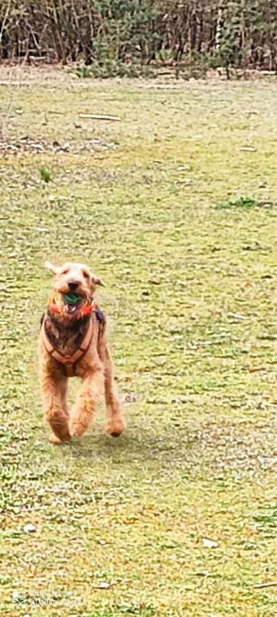 Fotochallenge No. 26                                     Wald und Wiese-Beitrag-Bild