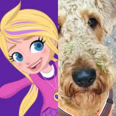 Wie heißt dein Hund?-Beitrag-Bild