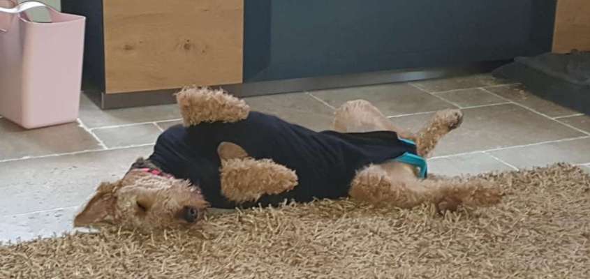 Fotochallenge Nr.65-Beitrag-Bild