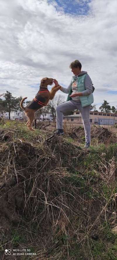 Hundmenschfotos-Beitrag-Bild