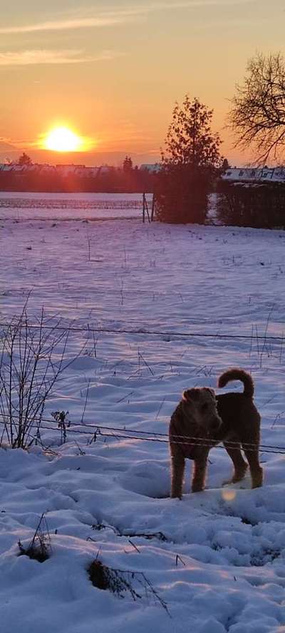 Sonnenaufgänge oder - untergänge-Beitrag-Bild