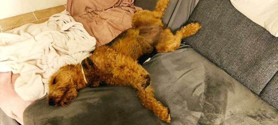 FOTO-Challenge  NR. 91: Die pure Entspannung-Beitrag-Bild