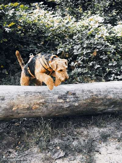 Foto Wettbewerb-Beitrag-Bild