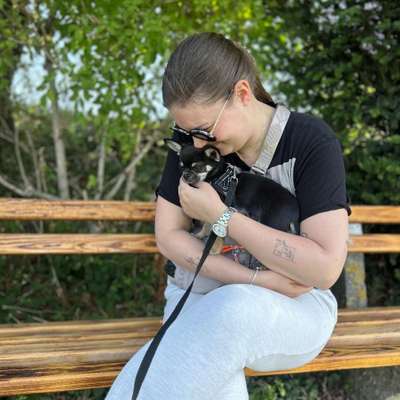 Hundetreffen-Chihuahua Treffen München-Bild