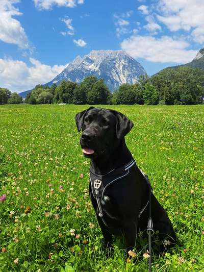 Fotochallenge Nr 107-Beitrag-Bild