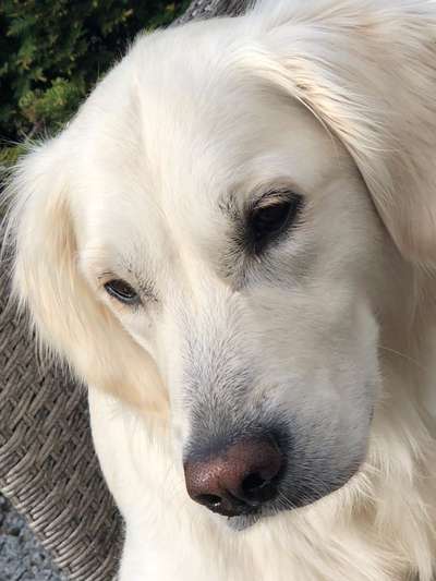 Fotochallange Nr. 57     PORTRÄT.   Beendet!!!!!!!!-Beitrag-Bild