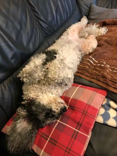 Lustige Grimassen & verrückte Posen-Beitrag-Bild