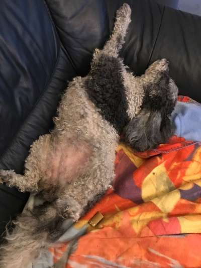 Verrückte Schlafpositionen-Beitrag-Bild