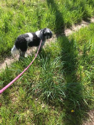 Doppelgänger gesucht !-Beitrag-Bild