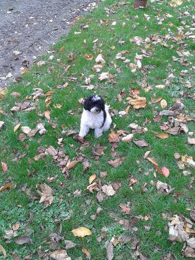 Lieblingsbild-Beitrag-Bild