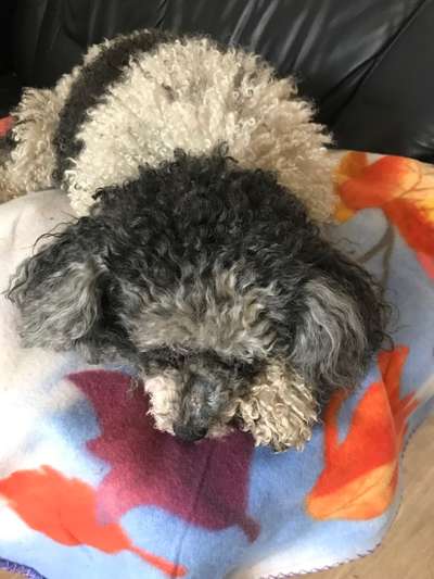 Verrückte Schlafpositionen-Beitrag-Bild