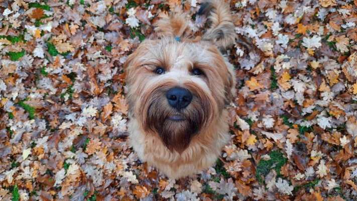 Fotochallange Nr. 57     PORTRÄT.   Beendet!!!!!!!!-Beitrag-Bild