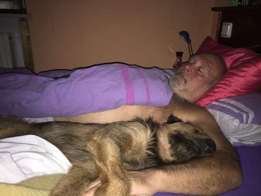 Gemeinsames Kuscheln im Bett!-Beitrag-Bild