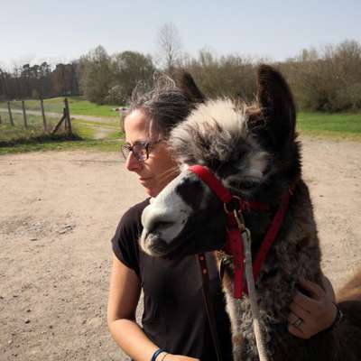 Hundetreffen-Gassirunde zum rumfetzen-Profilbild