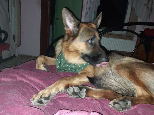 Handyfoto challenge Nr. 13: Waschlappen raus!-Beitrag-Bild