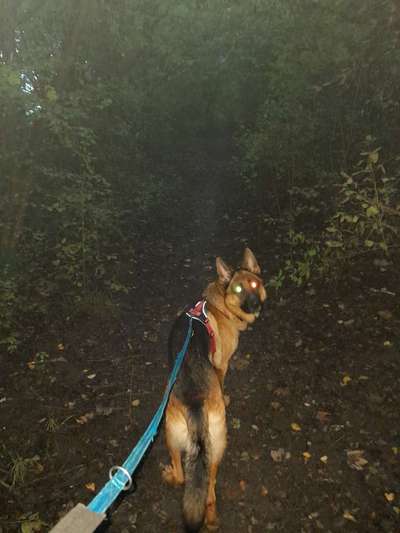 Fotowettbewerb Natur-Beitrag-Bild