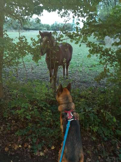 Fotowettbewerb Natur-Beitrag-Bild