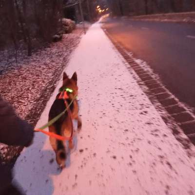 Wie sitzt mein Geschirr?-Beitrag-Bild