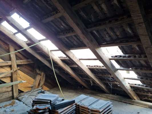 Windhunde - Treffen der besonderen Schönheiten
HERZLICH WILLKOMMEN-Beitrag-Bild