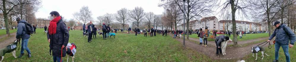 Windhunde - Treffen der besonderen Schönheiten
HERZLICH WILLKOMMEN-Beitrag-Bild