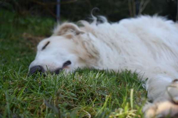 Foto Challange Nr.80-Beitrag-Bild