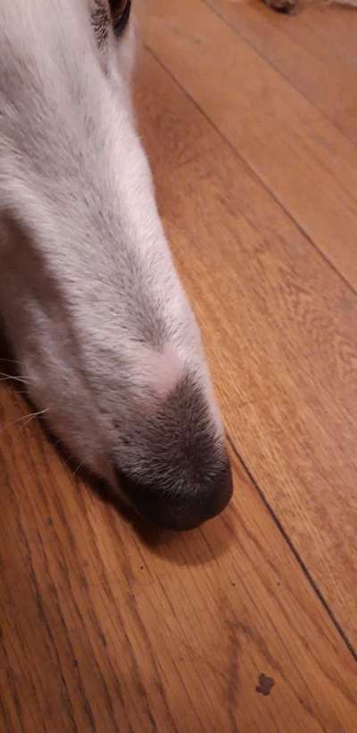 Blick fürs Detail!-Beitrag-Bild