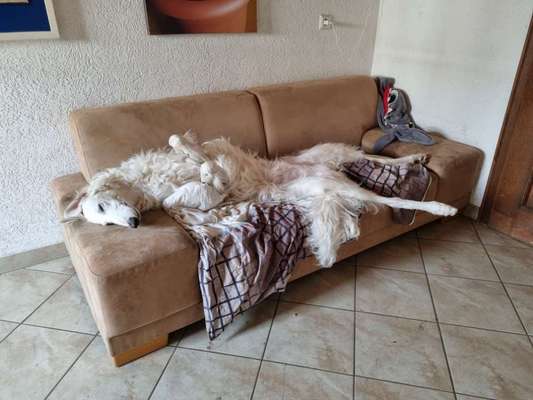 CHALLENGE NR. 34 - Liege-/Schlafpositionen-Beitrag-Bild