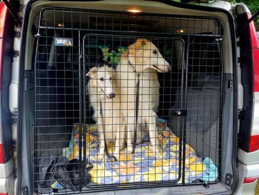 117. Fotochallenge-Beitrag-Bild