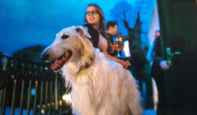 Wie groß waren eure welpen ?-Beitrag-Bild