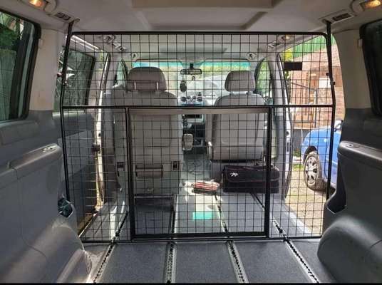 Windhunde - Treffen der besonderen Schönheiten
HERZLICH WILLKOMMEN-Beitrag-Bild