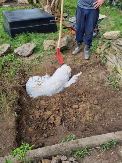 Windhunde - Treffen der besonderen Schönheiten
HERZLICH WILLKOMMEN-Beitrag-Bild