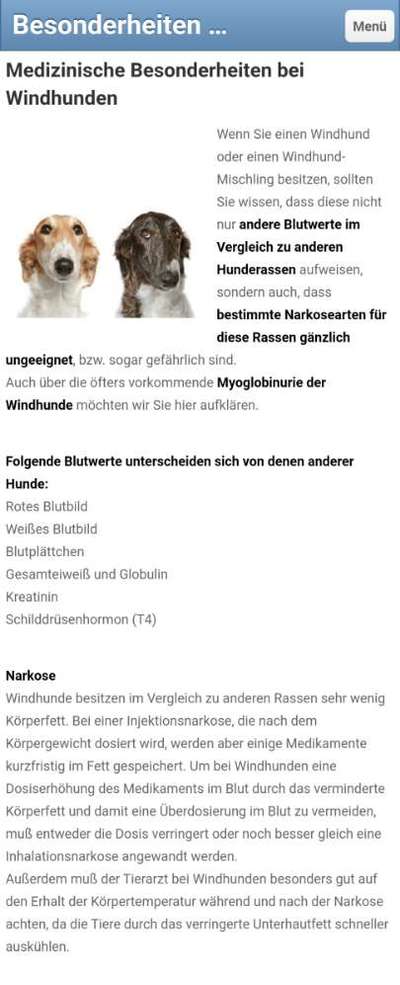 Windhunde - Treffen der besonderen Schönheiten
HERZLICH WILLKOMMEN-Beitrag-Bild