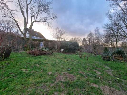 Windhunde - Treffen der besonderen Schönheiten
HERZLICH WILLKOMMEN-Beitrag-Bild