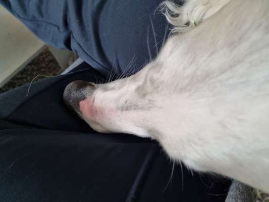 Hier ist der Spaßthread. Zum Schmunzeln und Kaputtlachen-Beitrag-Bild