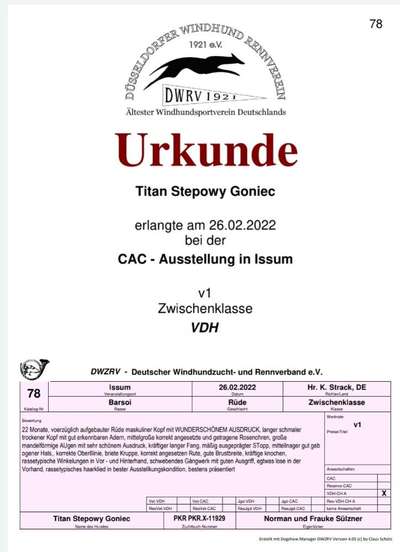 Windhunde - Treffen der besonderen Schönheiten
HERZLICH WILLKOMMEN-Beitrag-Bild