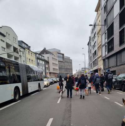 Windhunde - Treffen der besonderen Schönheiten
HERZLICH WILLKOMMEN-Beitrag-Bild