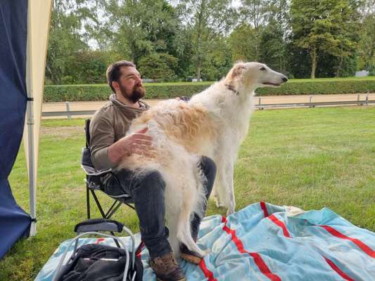 Zeigt her; eure "zu gross geratenen Schosshunde"-Beitrag-Bild