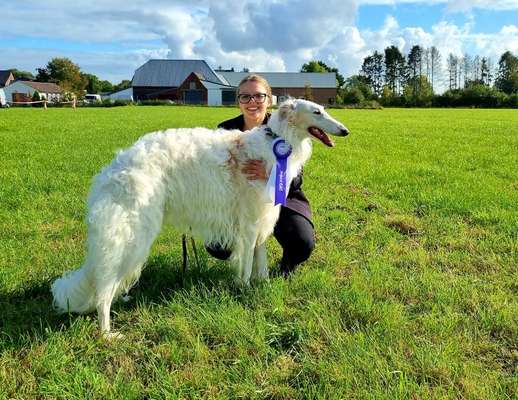Windhunde - Treffen der besonderen Schönheiten
HERZLICH WILLKOMMEN-Beitrag-Bild