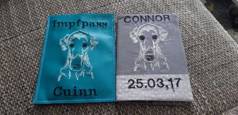 Impfpasshülle ja/nein?-Beitrag-Bild