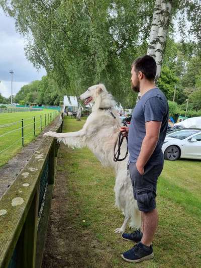 Windhunde - Treffen der besonderen Schönheiten
HERZLICH WILLKOMMEN-Beitrag-Bild