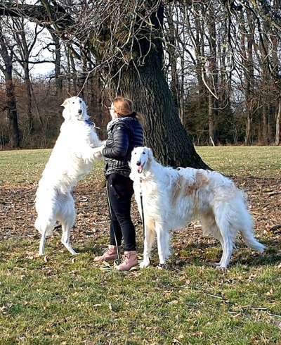 Hundmenschfotos-Beitrag-Bild