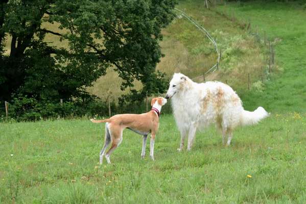 Fotochallenge Nr. 62 Romantische Momente-Beitrag-Bild